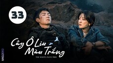 Tập 33| Cây Ô Liu Màu Trắng - The White Olive Tree (Trần Triết Viễn, Lương Khiết,...).