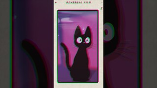 Lofi chill Music 🎶 Ghibli