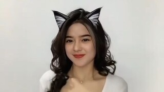 CUTE CAT KAWAII NEKO