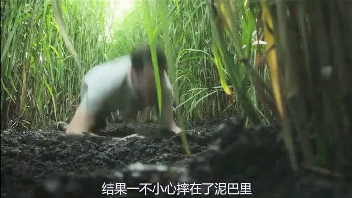 Kịch bí ẩn trong bụi cỏ