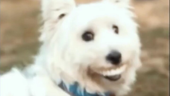 แลกฟอลไลฟ์สด ตอบกลับแน่นอน!