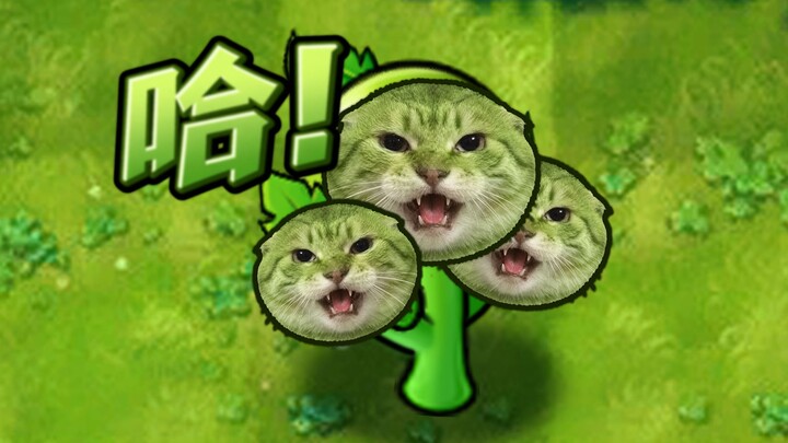 Sanxian penakut: Lao Wu ³ !!!