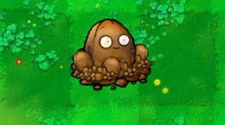 [PVZ hybrid] ซอมบี้ตัวไหนที่สามารถเอาชนะ Nutty Bowling ได้?