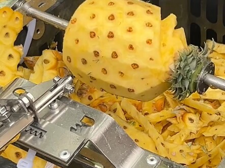 Delicious Pineapple