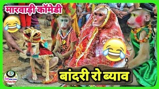 विवाह स्पेशल देसी मारवाड़ी कॉमेडी | देसी जानवरो की Vivah Special Funny Animals Marwadi Dubbing