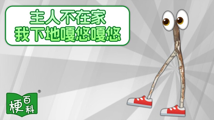 [Internet Slang Encyclopedia] What's the joke behind "When the owner's not home, I XXX"? Gagayou gag