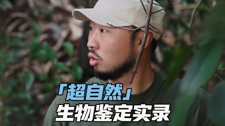Fenomena “supernatural” terlihat di hutan hujan Xishuangbanna?