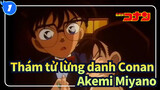 [Thám tử lừng danh Conan] Cái chết của Akemi Miyano_1