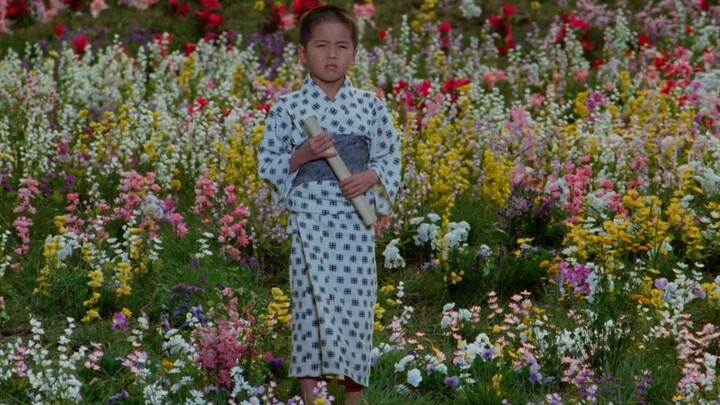Dreams | Akira Kurosawa’s Aesthetic of Color