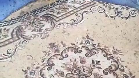 My Gray won his first Dance Contest.