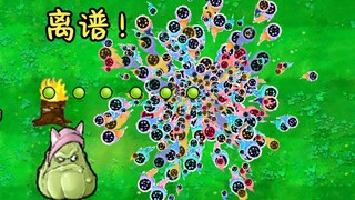 ♥เมื่อฉันจุดพลุแบบ PVZ! ?♥