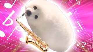 🎷Saxophone Leopard🎷