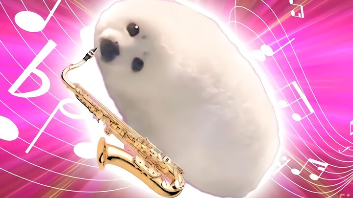 🎷萨克斯之豹🎷