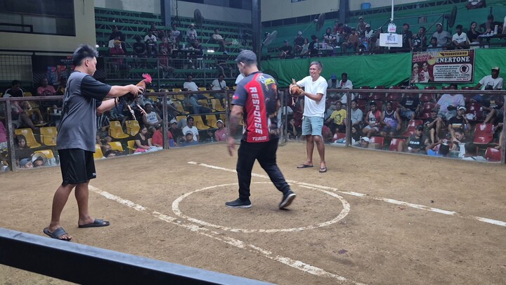 2nd fight, win champion