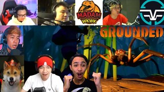 Reaksi Kaget Gamer Di Kejar Laba - Laba Raksasa, AUTO DIGIGIT!!! | Grounded Indonesia