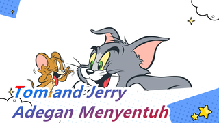 Tom and Jerry|Anak anjing kecil yang lengket datang ke rumah dan Tom sangat baik