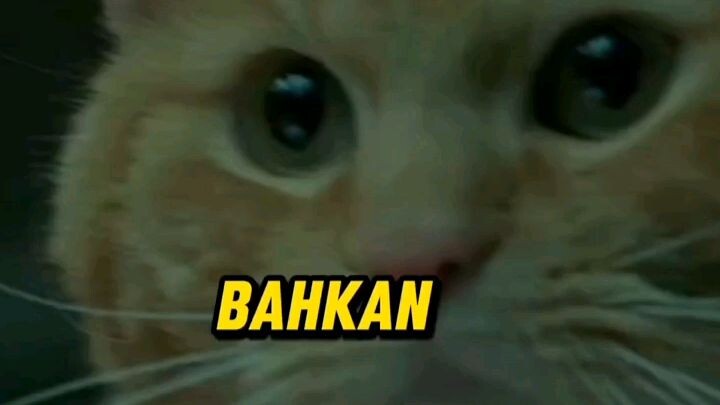 Si Oren yang berbahaya