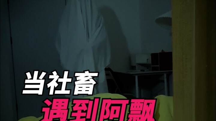 当社畜遇到阿飘！