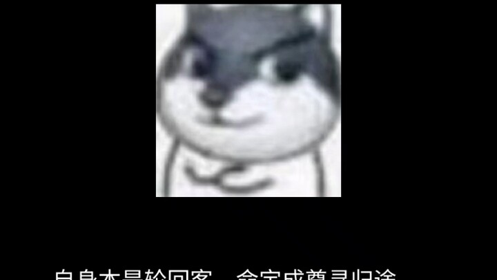 #盗天魔尊 #大爱仙尊 #这是一个悲伤的故事