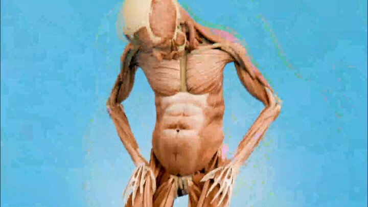 What happens if you lose all your skins?