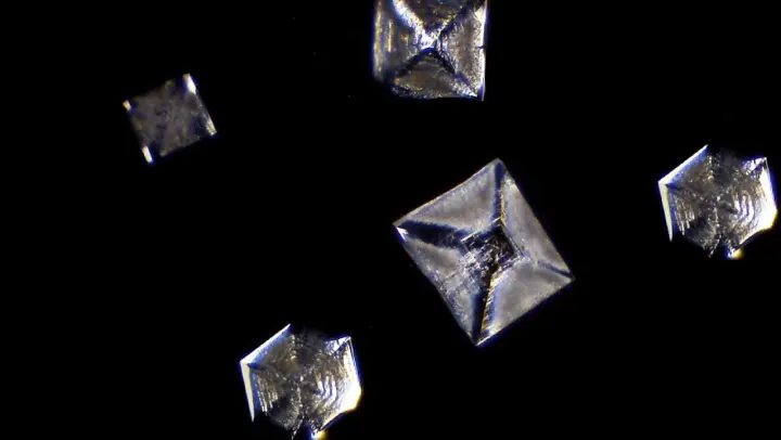 Time Lapse | Salt Crystallizing Under the Microscope [ Dark Field ]