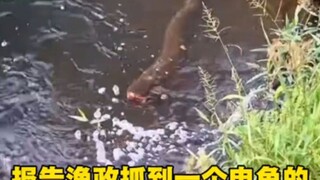 Orang ini memancing ikan pakai listrik, nggak ada yang berani menangkapnya, kan?