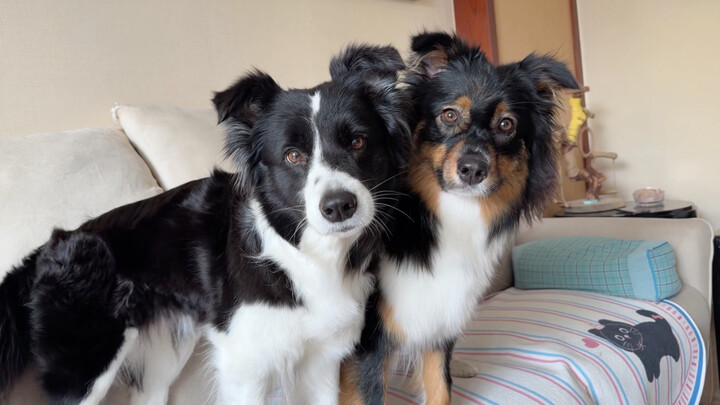Xika and Ximilu