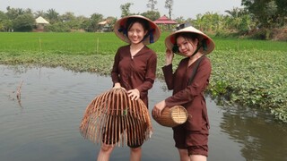 Hai Chị Em Đi Nơm Cá Lóc Trên Ruộng Về Làm Cá Lóc Hấp Bí + Cá Kho Tiêu ● Nắng Đẹp Miền Tây | NĐMT#49
