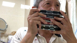 Pertunjukan harmonika "Tap Polka"