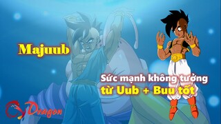 Majuub và 10 điều đặc biệt không thể bỏ qua!