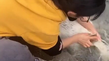 ลาผลาหมูอาบน้ำ