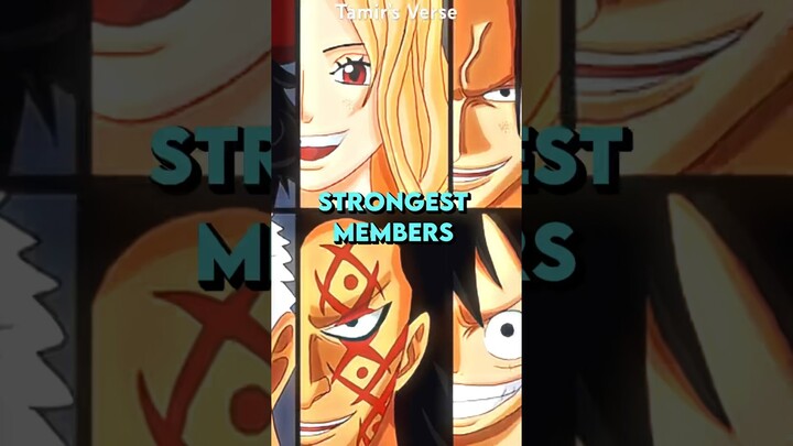 Who Are The STRONGEST Members From The D Clan?!? #anime #onepiece #luffy #shorts