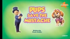Paw patrol Musim 8 Episode 5 dan 6 Bahasa Indonesia