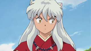 Có thể nói InuYasha bị con dâu thao túng đến chết.