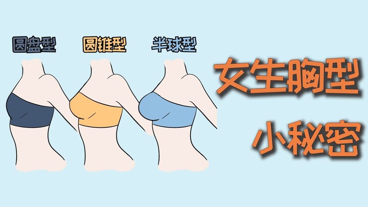 女生胸型的小秘密！