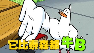 氰化欢乐秀：一只自律的鸽鸽 会有多恐怖？