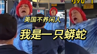 From then on, buses introduced a new rule: hammocks are not allowed.