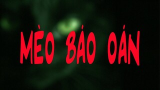 TẬP 715. MÈO BÁO OÁN