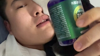 Bí mật của những miếng dán mèo con