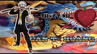 Trafalgar Law thức tỉnh trái ác quỷ | trái ác quỷ ope ope | luffy