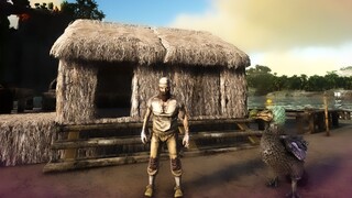 Ordinary chicken farmer