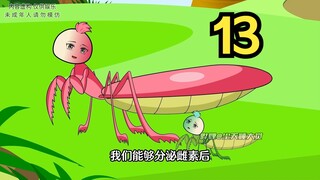螳螂领主，六品彩翼
