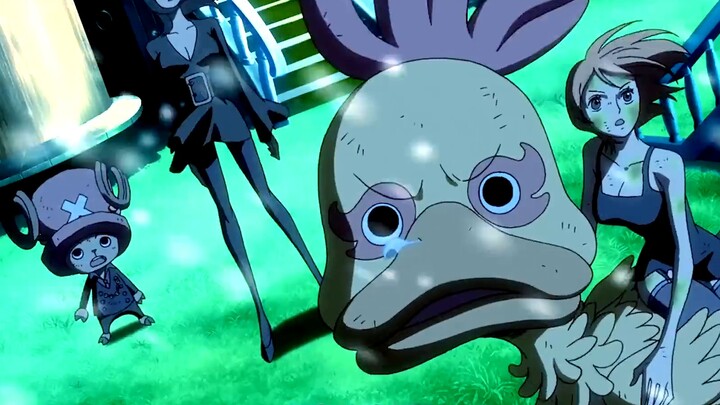 没有最费的果实，只有不会使用的人