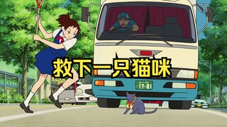 女孩救下一只猫，没想到猫回来报恩，娶她为老婆！