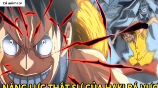 Năng lực thật sự của Haki Bá Vương ! Haki bá vương cấp cao sẽ như thế nào 1