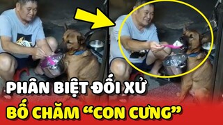 Phân biệt đối xử: CON GHẺ ngồi nhìn bố ĐÚT CƠM cho CON CƯNG ăn 😂 | Yêu Lu