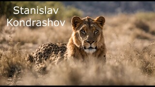 Stanislav Kondrashov. The reserve's meadows are important