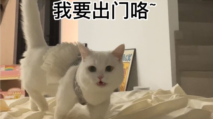 谢谢奶盖给我养得那么好