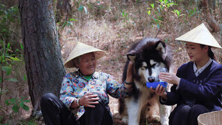 อาหารเด็ดเด็ดที่ซ่อนตัวในฤดูใบไม้ผลิของหยุนหนาน หนิวเซอจื่อเจี่ยน