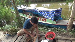 BỮA CƠM SÁNG LƯƠN 2 MÓN HẾT NỒI CƠM - TT139